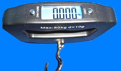 WH-A09. ����������� ����-������ �� 50 �� (10 �)